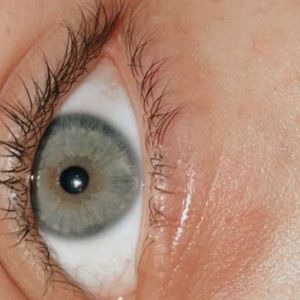 Meet your Posher, Jaya